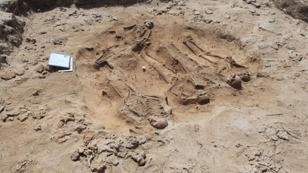 The remains in the group burial site.