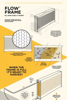 A chart shows how the flow hive works. The famous tap is at the bottom. 