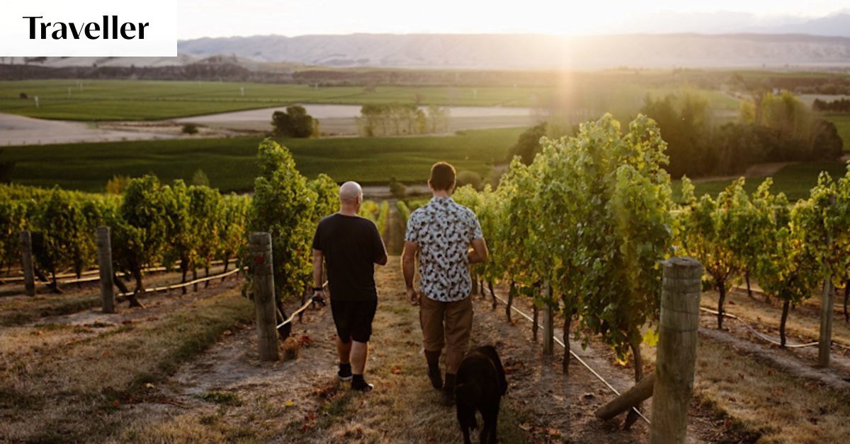 Kumeu River wine region, New Zealand, home of the chardonnay that beat ...
