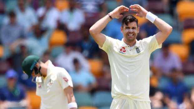 Line call: Jimmy Anderson reacts after his appeal for the wicket of Steve Smith is turned down.