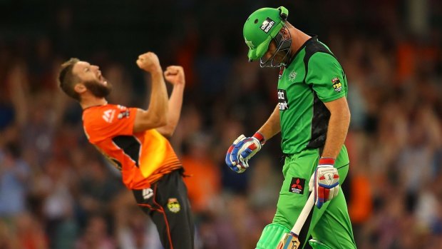 TV hit: Cricket Australia is especially happy with the number of first-time BBL viewers being dragged through the turnstiles.