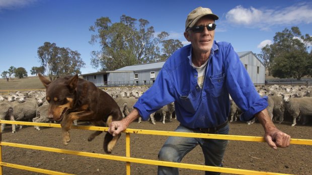 One man and his dog: Jock MacRae and Dinah set their sights on a new future.