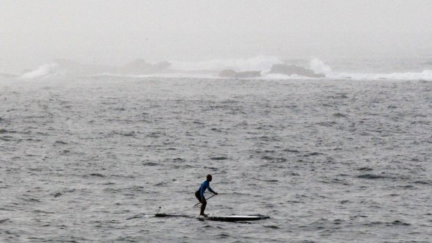 A paddle boarder makes his way past Wedding Cake Island off Coogee.