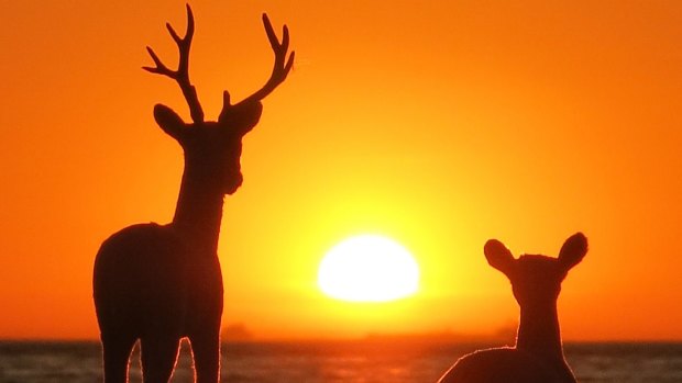 The Bureau of Meteorology is predicting warm weather for Melbourne on Christmas Day.