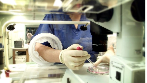 IVF, psychiatric and oncology  groups have rasied concerns the proposed changes would make treatment unaffordable for some patients.