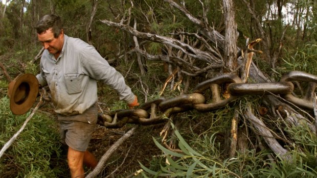 The tree clearing debate in Queensland is once again raging.