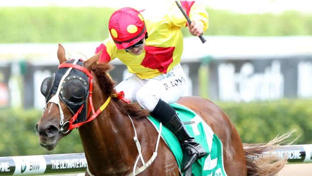 The Paul Jones-trained Mercurial Lad will run in a strong Canberra Cup.