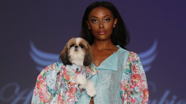 The Anthony Rubio Canine couture and woman's wear collection at New York Fashion Week.