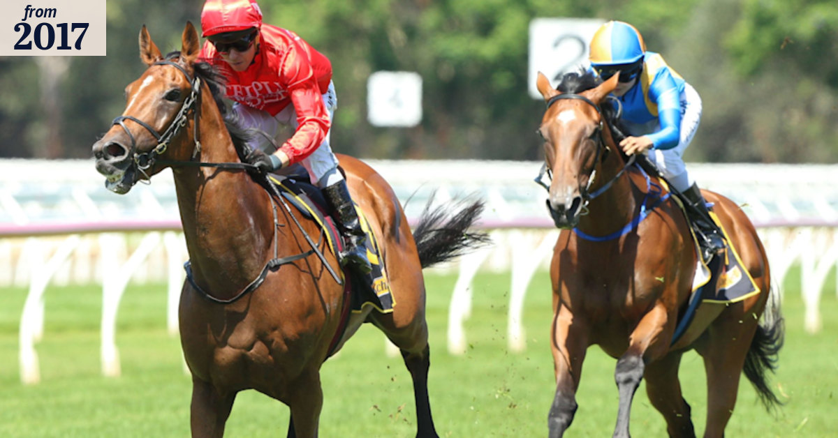 Randwick racing preview: Carrington Stakes Day