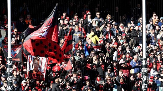 Essendon's comeback season has been marked by record membership and the largest attendances in the competition.