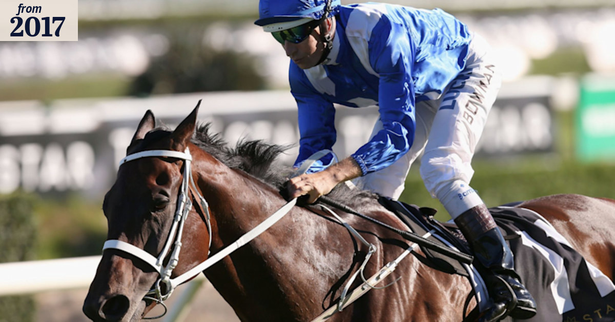 Winx gets her name on her colours as winning streak continues