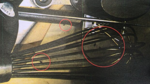 Rodent droppings (circled) found by health inspectors inside a utensil drawer in the kitchen of Sister Bella.