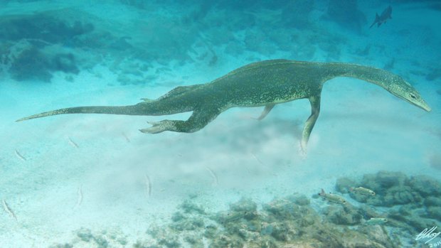 The marine reptile Lariosaurus which became extinct at the end of the Triassic period.  