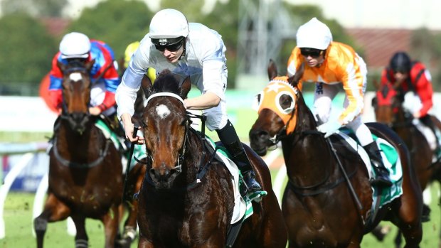Royal treatment: King's Officer wins in the wet at Rosehill.