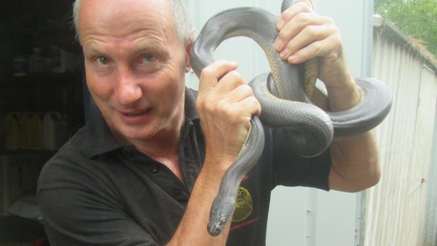 Raymond Hoser with a 2.5-metre long water python, at the Abbotsford shed it was found hiding inside.