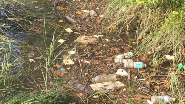 A photo of waste taken recently on the banks of the river in Toorak, sent in by a reader - who said the washed-up rubbish included syringes and spray cans.