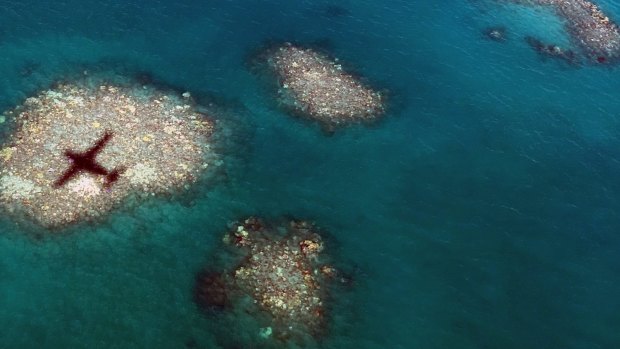 Coral bleaching in the Great Barrier Reef in 2016 was the worst on record.