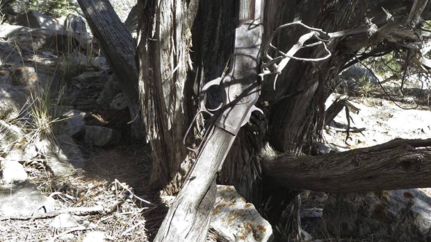 Archaeologists stumbled on the 130-year-old rifle in Nevada's Snake Mountains.