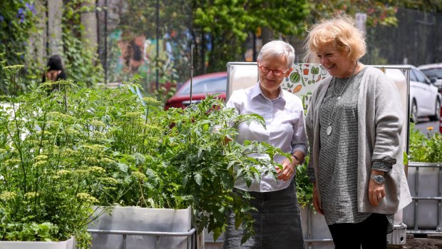 Anne Fitzpatrick, right, and fellow gardener Helena Nilsson in the Condell Street community garden.