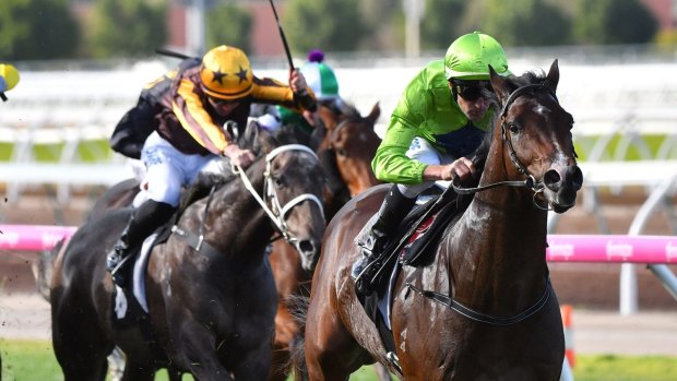 Bookmakers reluctant: Has racing.com hit a hurdle with its deal with South Australian racing?