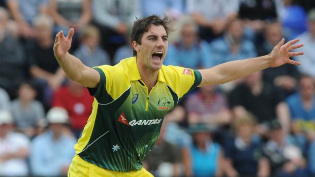 Major appeal: Pat Cummins would form a potent combination with James Pattinson and Mitch Starc