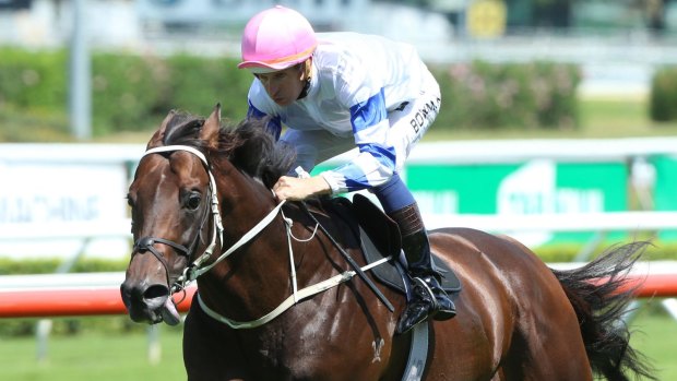 Autumn chance: Hugh Bowman and Kermadec will take on the All Aged Stakes. 