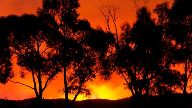 A bushfire near Healesville on Black Saturday. 