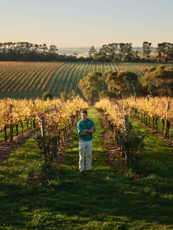 The Farr family only make wine from their own grapes, and have total control over quality in both vineyard and winery. 