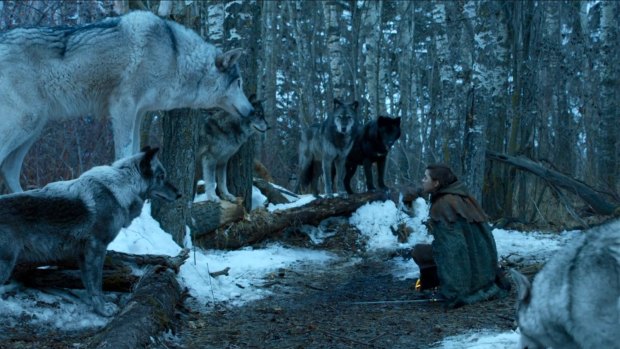 Arya Stark reunites with her beloved direwolf Nymeria.