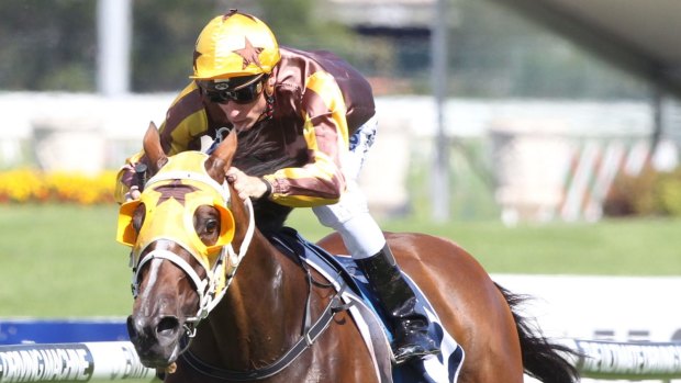 Maturing: Blake Shinn wins the Sky High Stakes on Tavago, and is ready for the Saturday's BMW.