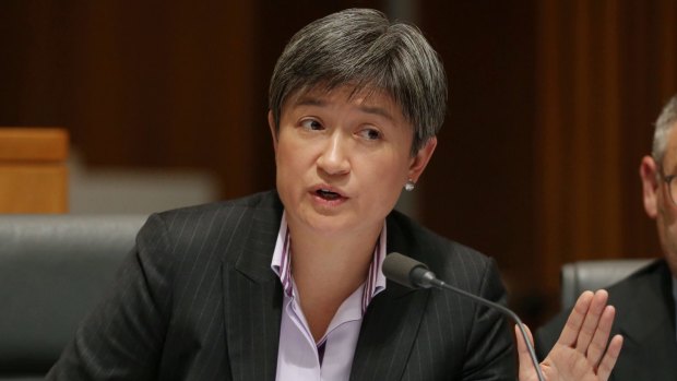 "This sort of throws up another broader systemic issue": Labor senator Penny Wong.  
