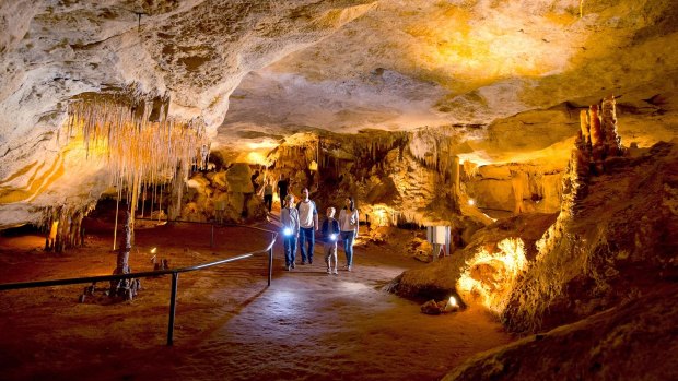 Magnificent … Preserved megafauna in Naracoorte Caves.