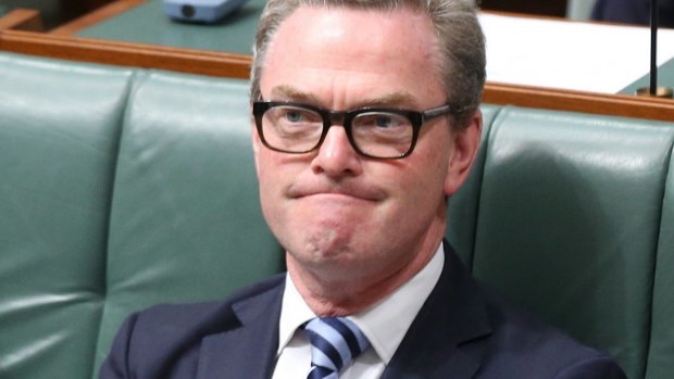 Christopher Pyne has been labelled a 'menace' by a Coalition backbencher for coveting Marise Payne's job.
