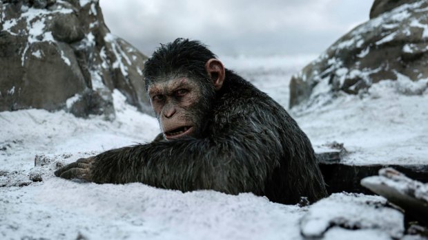 Andy Serkis plays the ape leader Caesar in the <i>Planet of the Apes</I> trilogy.