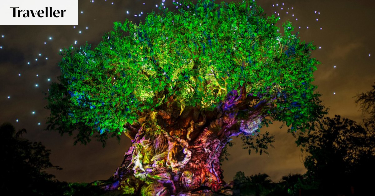 Pandora, Disney World's new Avatar ride: Is this the future of theme parks?