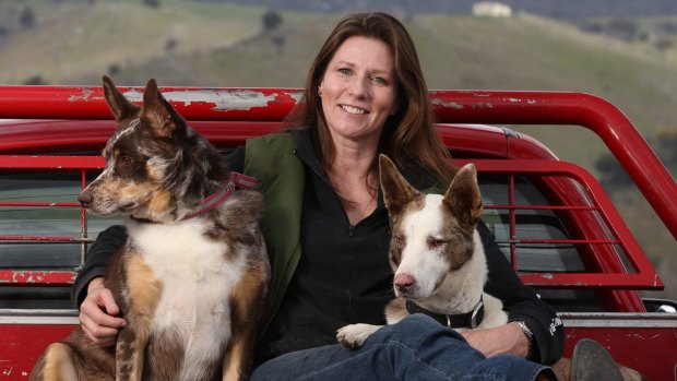 Lynn Davies at her home near Canberra with her dogs Smorgasbord (left) and PooNeck.