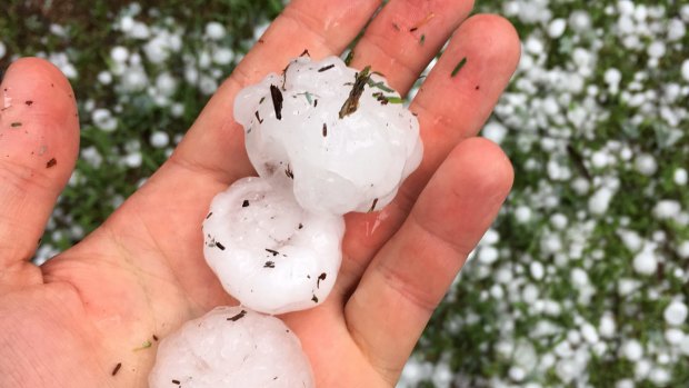 Golf ball-sized hail at Turramurra on Saturday afternoon.