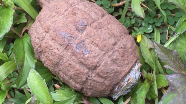 The grenade uncovered at a far north Queensland construction site.