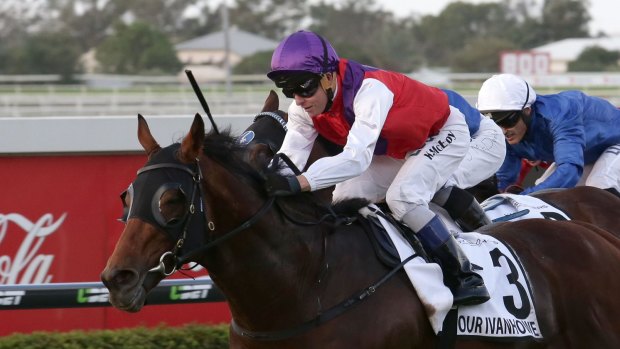 Wet tracker: Our Invanhowe takes out the Doomben Cup last year and Lee Freedman thinks he will enjoy the heavy track at Rosehill on Saturday.