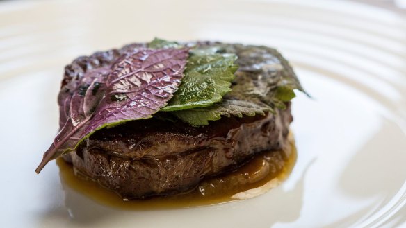 Refined: grilled Sher wagyu.