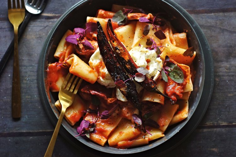 Pasta with tomato vodka sauce, chilli and burrata.