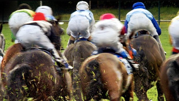 Racing Victoria sided with corporate bookmakers in opposing the merger.