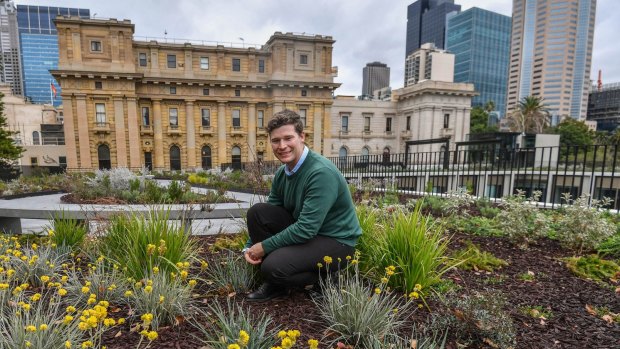 Lucas Dean, senior landscape architect with Taylor Cullity Lethlean, in the new Parliament House garden.
