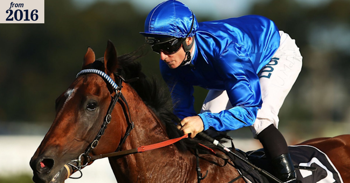 Hauraki can handle a sticky Randwick and is set to peak in Queen ...