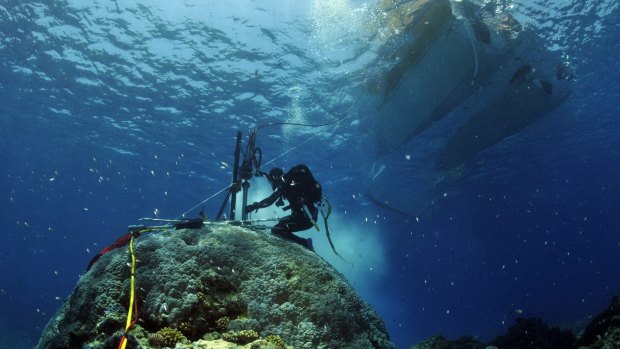Scientists take core samples from giant coral on Ningaloo Reef.