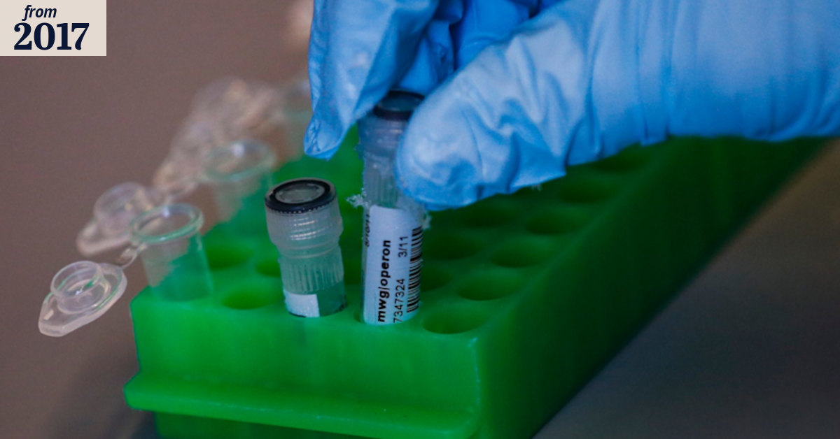 Scientists want relaxation of laws to allow gene editing of human embryos