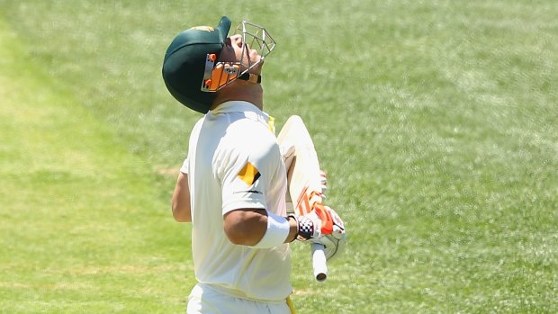 David Warner looked to the sky after reaching 63 not out.