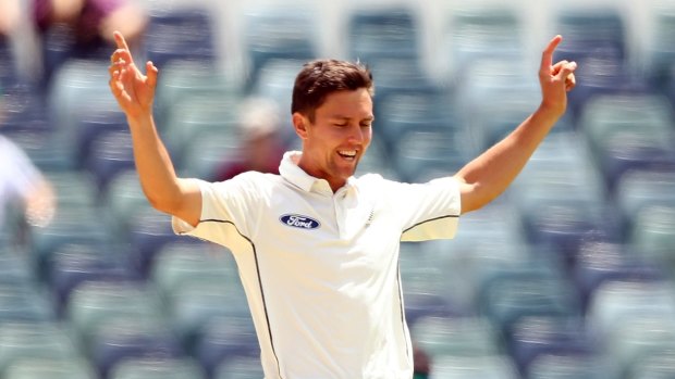 On track: Trent Boult celebrates taking the wicket of Steve Smith during the second Test in Perth.