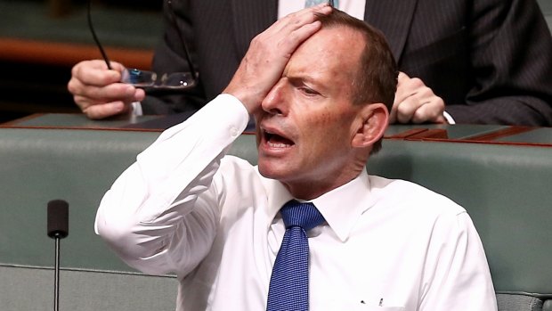 Tony Abbott sitting on the backbench in November.