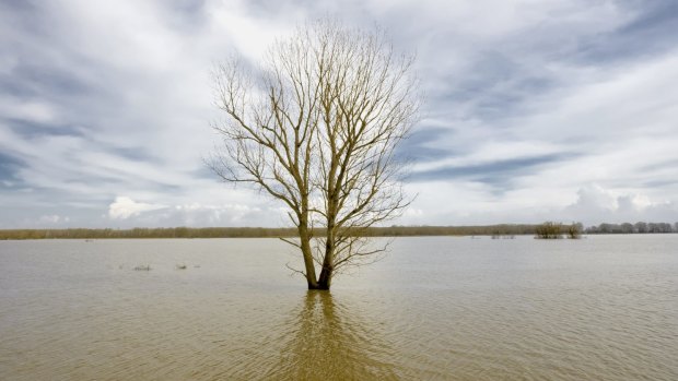 Research has found 63 per cent of Australians believe the Abbott government should be taking climate change more seriously.